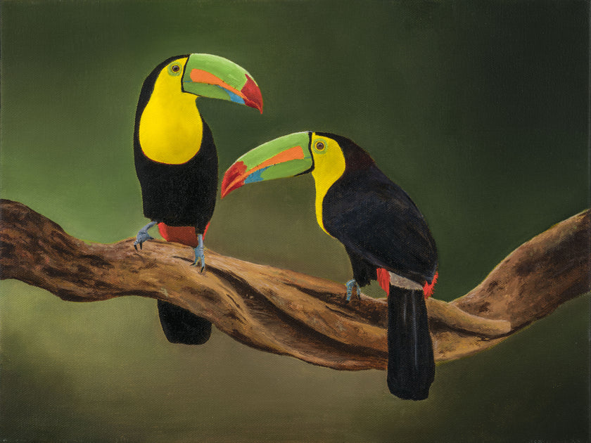 Print - Birds of Paradise