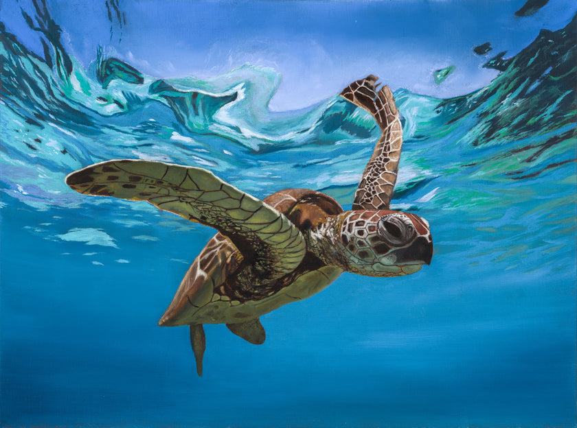 Print -  Sea Turtle